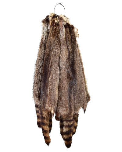 Raccoon Fur Pelt, Tanned Skin