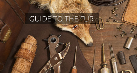 guide to the fur